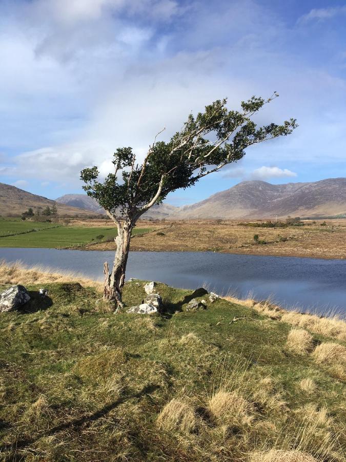Railway View - Connemara Bed & Breakfast Recess Exterior foto